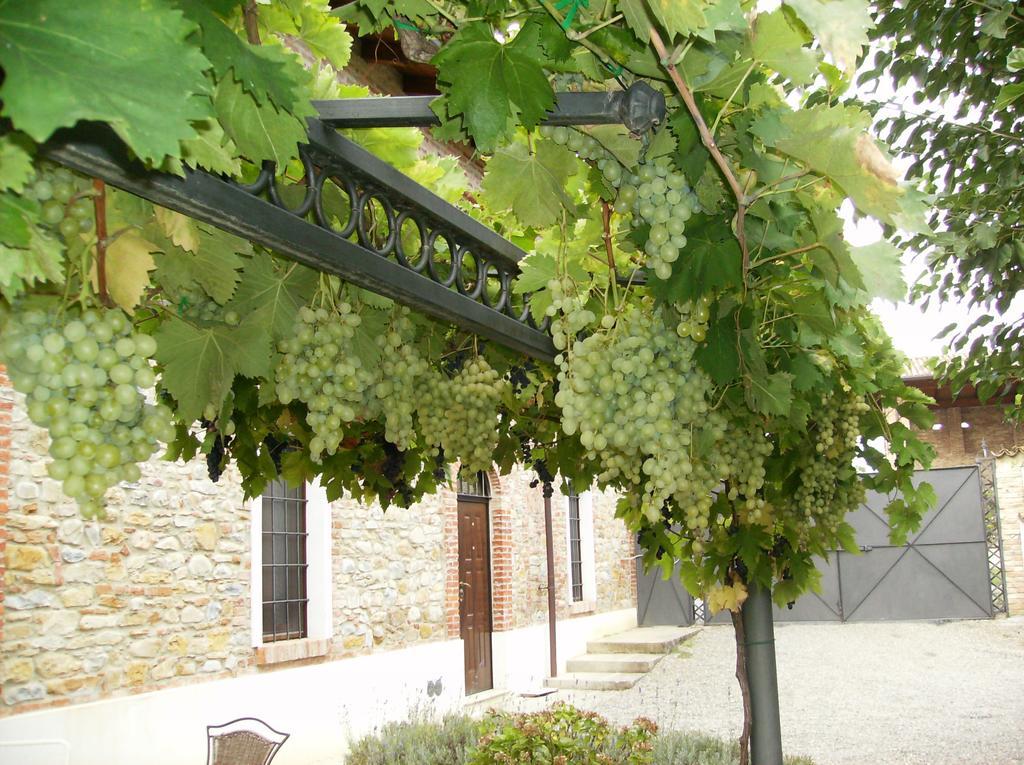 Agriturismo Casa Garello 살리체테르메 외부 사진